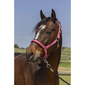 Norton Halfter 4Lines Altrosa Norton Halfter 4Lines Altrosa