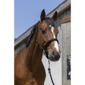 Norton Halfter Satine Schwarz Norton Halfter Satine Schwarz