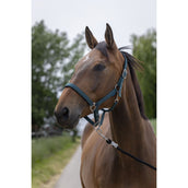 Norton Halfter Satine Dunkelgrün Norton Halfter Satine Dunkelgrün