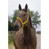 Norton Halfter Satine Honig Norton Halfter Satine Honig