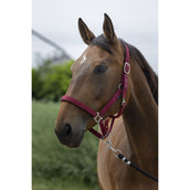 Norton Halfter Satine Burgunderrot Norton Halfter Satine Burgunderrot