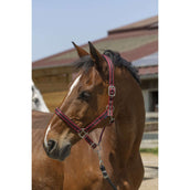 Norton Halfter Satine Burgundy/schwarz Norton Halfter Satine Burgundy/schwarz