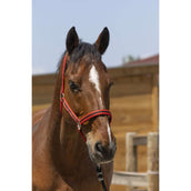 Norton Halfter Satine Rot/Schwarz Norton Halfter Satine Rot/Schwarz