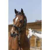 Norton Halfter Satine Dunkelgrün/Schwarz Norton Halfter Satine Dunkelgrün/Schwarz