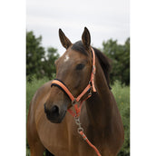 Norton Halfterset Large Koralle Norton Halfterset Large Koralle