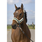 EQUITHÈME Halfter Mouton Nylon Grün/Weiß EQUITHÈME Halfter Mouton Nylon Grün/Weiß