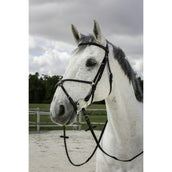 Riding World Trense Mexikanischer Nasenriemen Schwarz Riding World Trense Mexikanischer Nasenriemen Schwarz