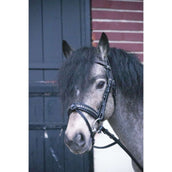 Eden By Penelope Zaum Eden Schwarz Eden By Penelope Zaum Eden Schwarz