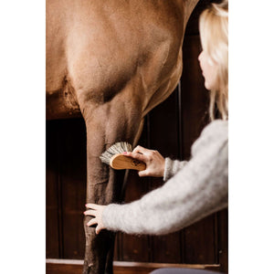 Grooming Deluxe by Kentucky Bürste Mittel Hart Grooming Deluxe by Kentucky Bürste Mittel Hart