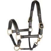 Harry's Horse Lederhalfter mit Paspel Gold Harry's Horse Lederhalfter mit Paspel Gold