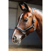 Harry's Horse Lederhalfter mit Paspel Silber Harry's Horse Lederhalfter mit Paspel Silber