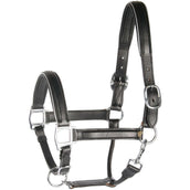 Harry's Horse Lederhalfter mit Paspel Silber Harry's Horse Lederhalfter mit Paspel Silber