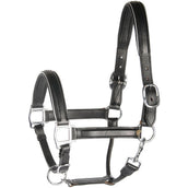 Harry's Horse Lederhalfter mit Paspel Silber Harry's Horse Lederhalfter mit Paspel Silber