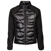 Harry's Horse Softshelljacke Liciano Padded Schwarz Harry's Horse Softshelljacke Liciano Padded Schwarz