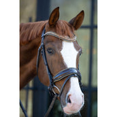 HB Zaum Showtime It is So Special Braun/Golden Glitter HB Zaum Showtime It is So Special Braun/Golden Glitter