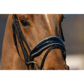 HB Zaum Showtime It is So Special Schwarz/Silber Glitzer HB Zaum Showtime It is So Special Schwarz/Silber Glitzer