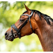 HB Showtime Trense Very Soft Schwarz HB Showtime Trense Very Soft Schwarz