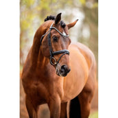 HB Showtime Trense Different Change Schwarz HB Showtime Trense Different Change Schwarz