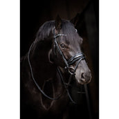 HB Trense Showtime Evalira Blau/Schwarz HB Trense Showtime Evalira Blau/Schwarz