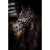 HB Trense Showtime Evalira Blau/Schwarz HB Trense Showtime Evalira Blau/Schwarz