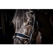 HB Showtime Trense Special Guy Schwarz/Weiß HB Showtime Trense Special Guy Schwarz/Weiß