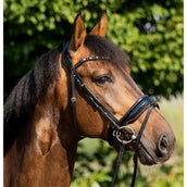 HB Showtime Trense Sweet Dreams Schwarz/Burgund HB Showtime Trense Sweet Dreams Schwarz/Burgund