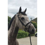 HB Showtime Trense Fleur Braun HB Showtime Trense Fleur Braun