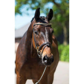 HB Showtime Trense Fleur Braun HB Showtime Trense Fleur Braun