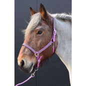 HB Halfter Diamonds Collection Lila HB Halfter Diamonds Collection Lila