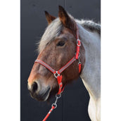 HB Halfter Diamonds Collection Rot HB Halfter Diamonds Collection Rot