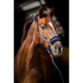 HB Halfter Europe Rose Navy HB Halfter Europe Rose Navy