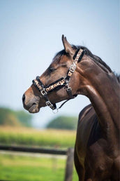 HB Halfter Leopard Fur Leopard HB Halfter Leopard Fur Leopard