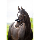 HB Halfter Zebra Schwarz/Weiß HB Halfter Zebra Schwarz/Weiß