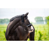 HB Halfter Zebra Schwarz/Weiß HB Halfter Zebra Schwarz/Weiß