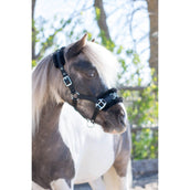 HB Halfter Nylon Kappzaum Schwarz HB Halfter Nylon Kappzaum Schwarz