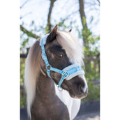 HB Halfter Nylon Kappzaum Hellblau HB Halfter Nylon Kappzaum Hellblau