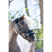 HB Halfter Nylon Kappzaum Schwarz HB Halfter Nylon Kappzaum Schwarz