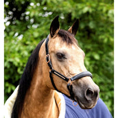 HB Showtime Halfter Rose Gold Leder Schwarz HB Showtime Halfter Rose Gold Leder Schwarz