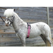 HB Longiergurt Little Sizes Rosa HB Longiergurt Little Sizes Rosa