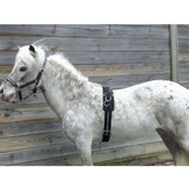 HB Longiergurt Little Sizes Schwarz HB Longiergurt Little Sizes Schwarz