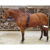 Harry's Horse Longierausbindezügel Harry's Horse Longierausbindezügel