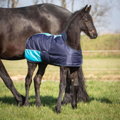 Harry's Horse Fohlendecke TwoTone Navy Harry's Horse Fohlendecke TwoTone Navy