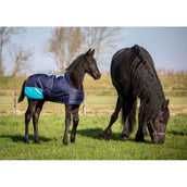 Harry's Horse Fohlendecke TwoTone Navy Harry's Horse Fohlendecke TwoTone Navy