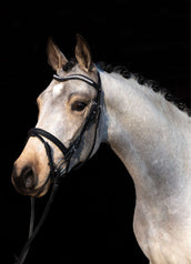 HKM Trense Little Star Schwarz HKM Trense Little Star Schwarz