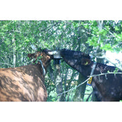 Agradi Lecksteinhalter für Pfahl KS für 10kg Agradi Lecksteinhalter für Pfahl KS für 10kg