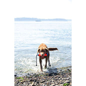 Chuckit Amphibious Bumper Chuckit Amphibious Bumper
