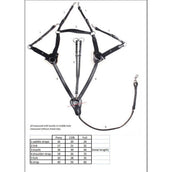 HORKA Vorderzeug 5 Punkt mit Elast braun/gold HORKA Vorderzeug 5 Punkt mit Elast braun/gold