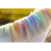 Lucky Horse Kreide Regenbogen Lucky Horse Kreide Regenbogen