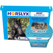 Horslyx Leckstein Mint Horslyx Leckstein Mint
