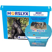 Horslyx Leckstein Mint Horslyx Leckstein Mint